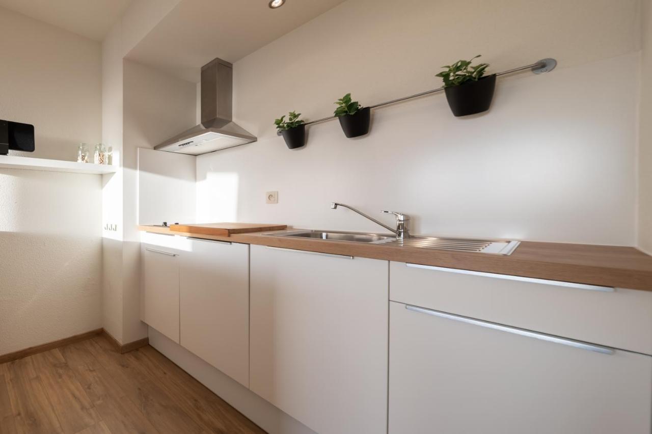 Vakantiestudio De Zeeparel 드판 외부 사진